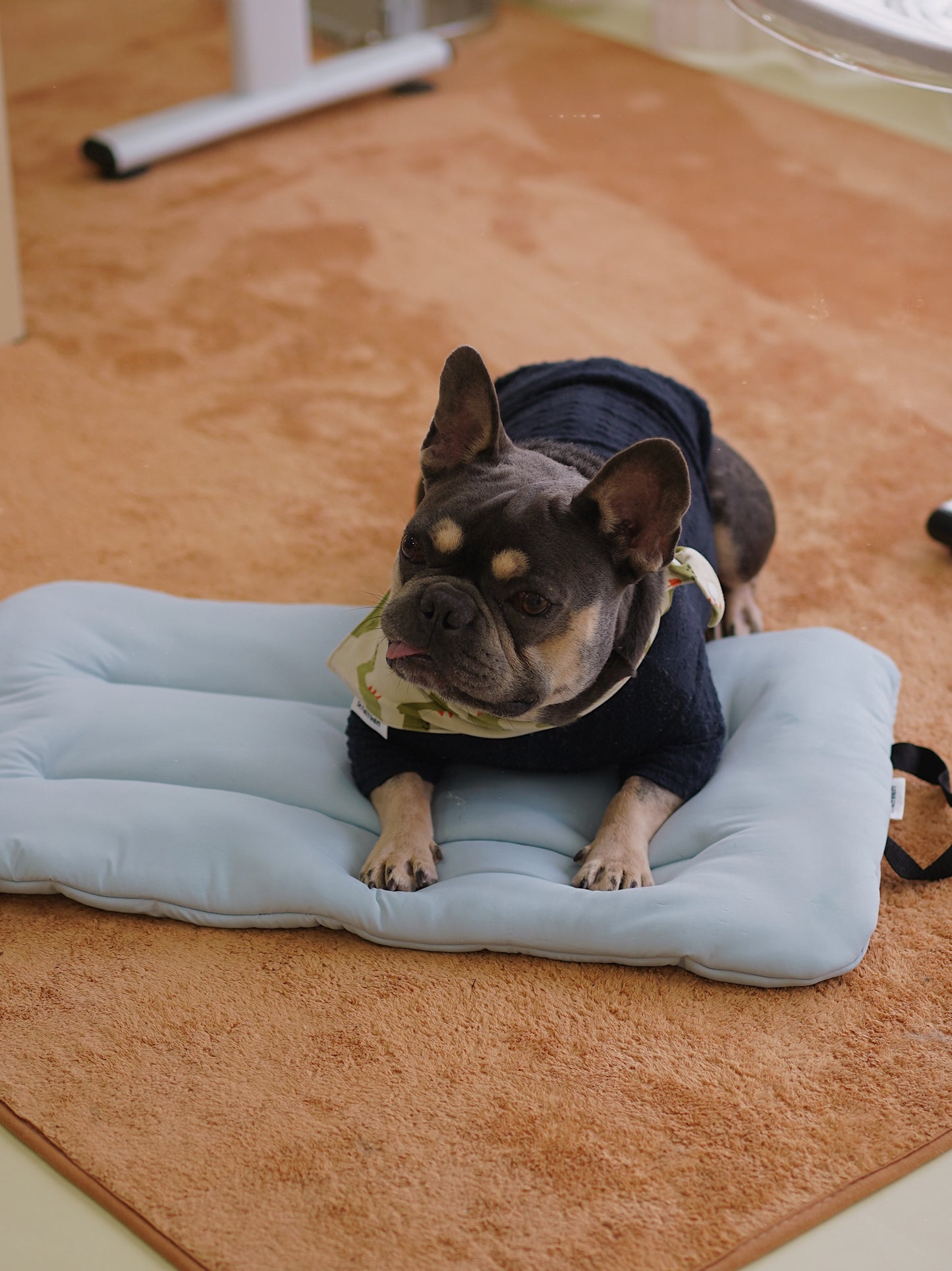 PET COOLING PAD