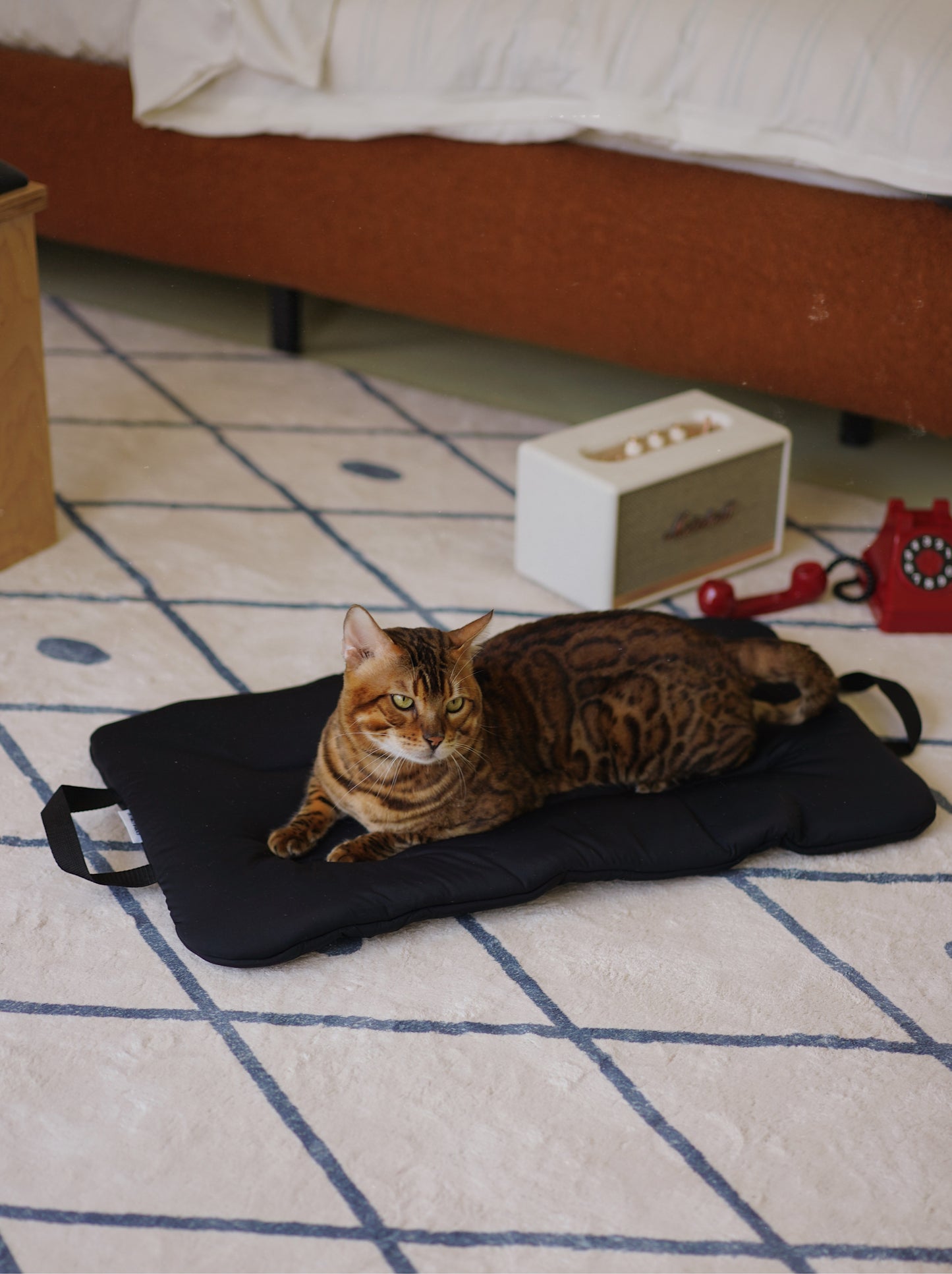 PET COOLING PAD