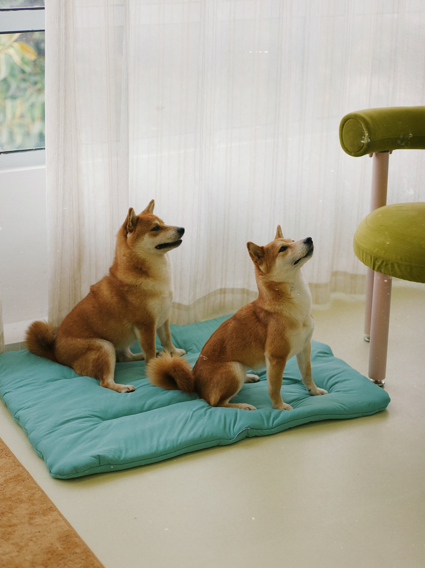 PET COOLING PAD